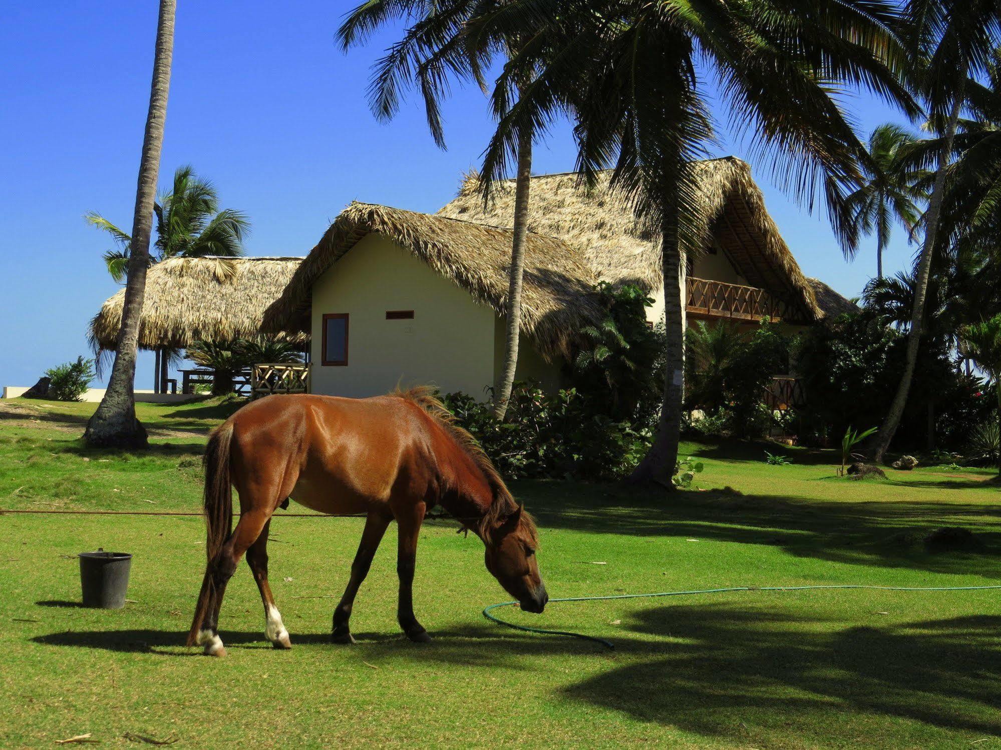 Villa Punta Coral El Francés エクステリア 写真